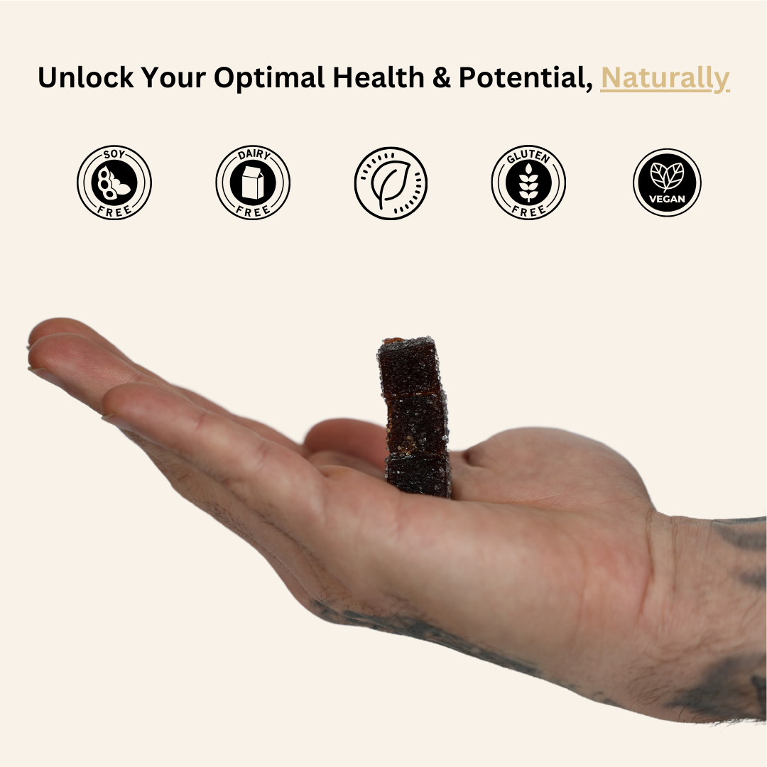 Pure Himalayan Shilajit Gummies